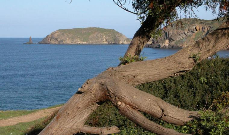 Appartamento In Casa Con Cortili Ad Arbus - Sardegna Exterior foto